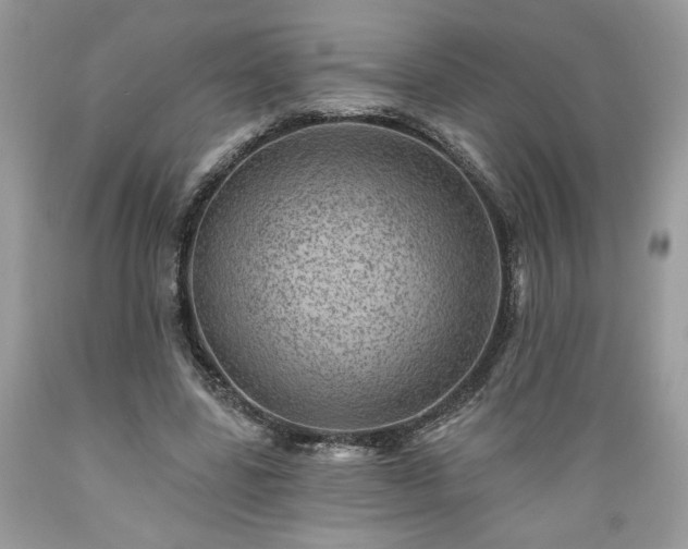 X0000089380539200706221256