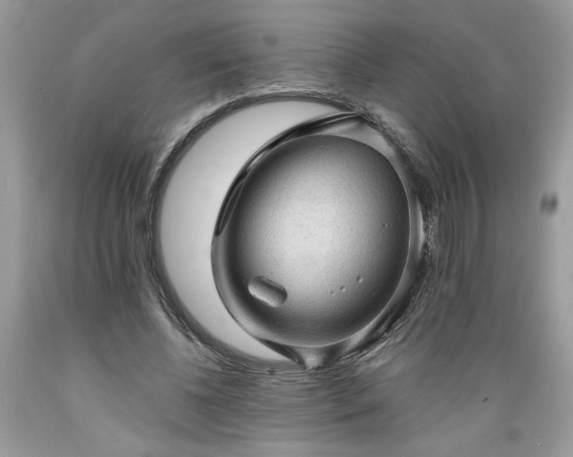 X0000089380540200706221256
