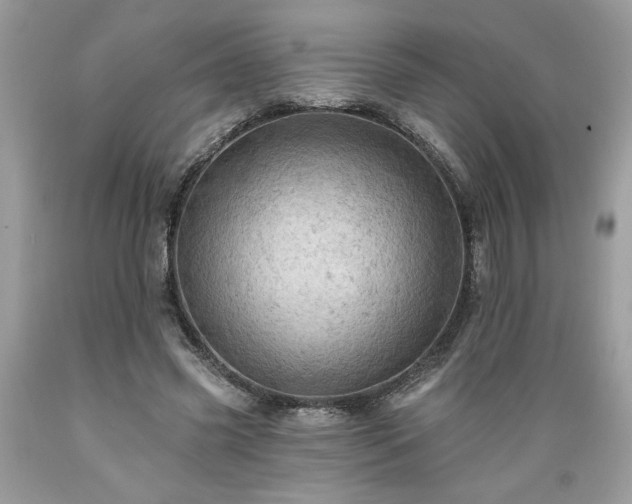 X0000089380541200706221256