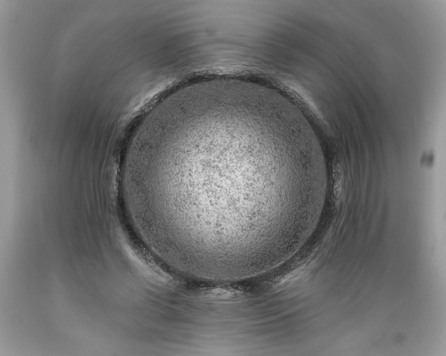 X0000089380542200706221256