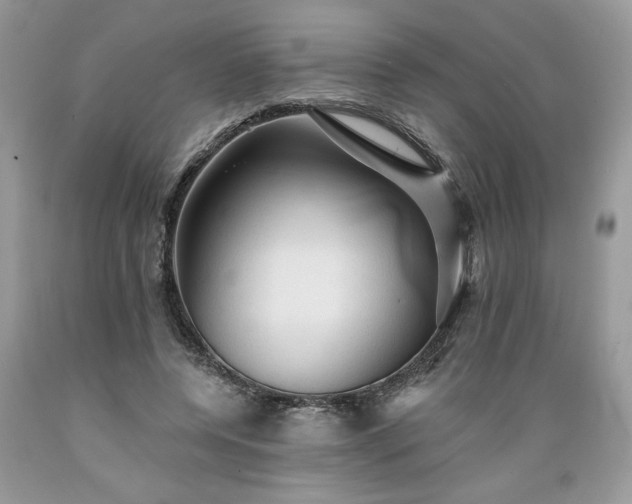 X0000089380544200706221256