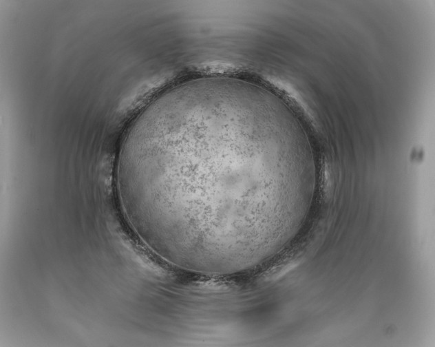 X0000089380545200706221256