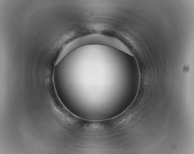 X0000089380546200706221256