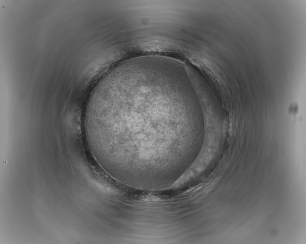 X0000089380547200706221256