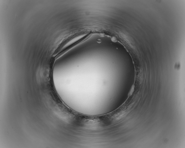 X0000089380548200706221256