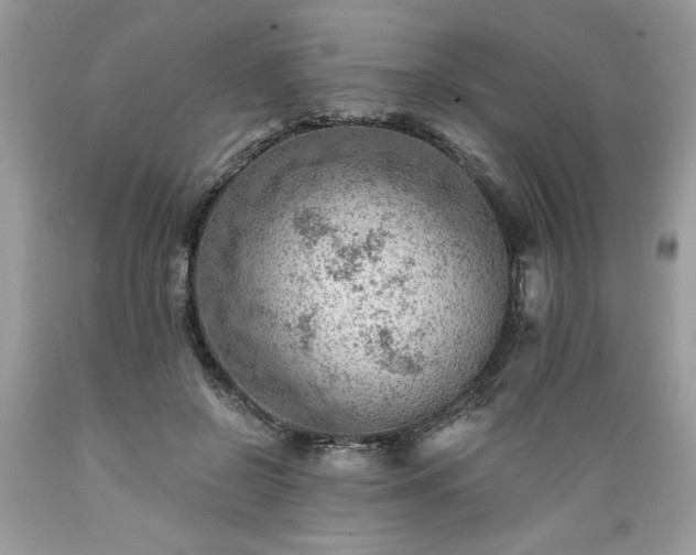 X0000089380550200706221256