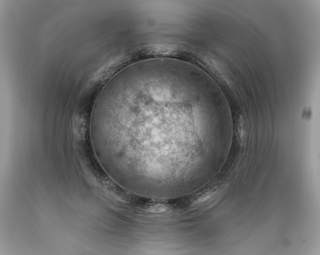 X0000089380551200706221256