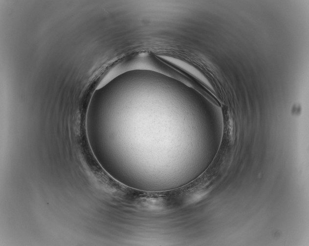 X0000089380552200706221256