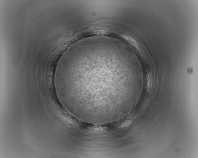 X0000089380553200706221256
