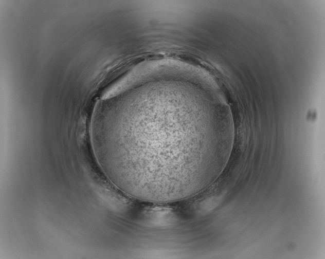 X0000089380554200706221257