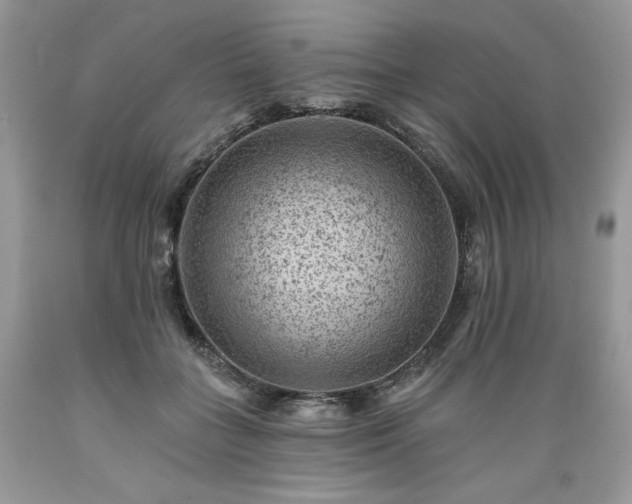 X0000089380555200706221257