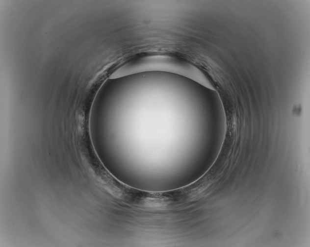X0000089380556200706221257