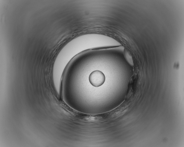 X0000089380558200706221257