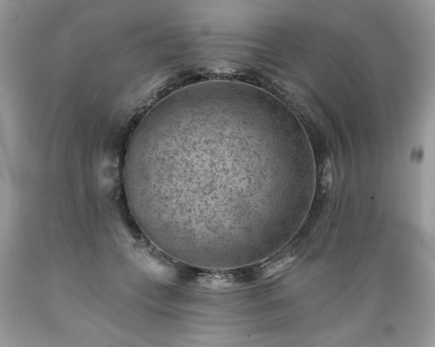 X0000089380559200706221257