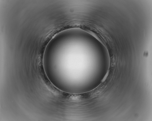 X0000089380560200706221257
