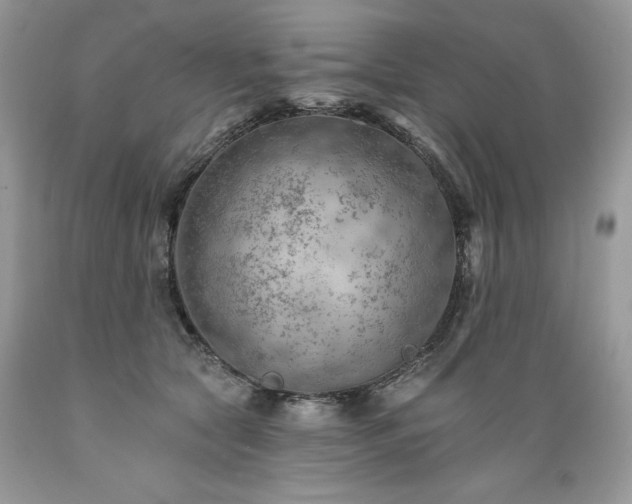 X0000089380561200706221257