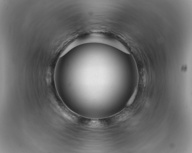 X0000089380562200706221257