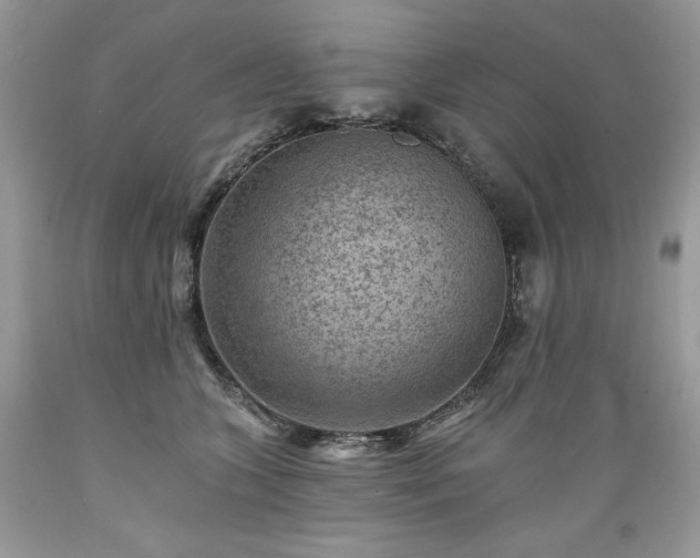 X0000089380563200706221257