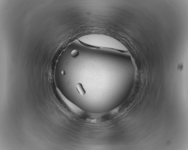 X0000089380564200706221257
