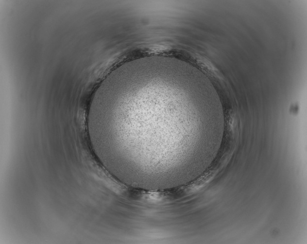 X0000089380565200706221257