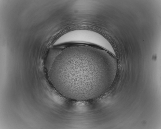 X0000089380566200706221257
