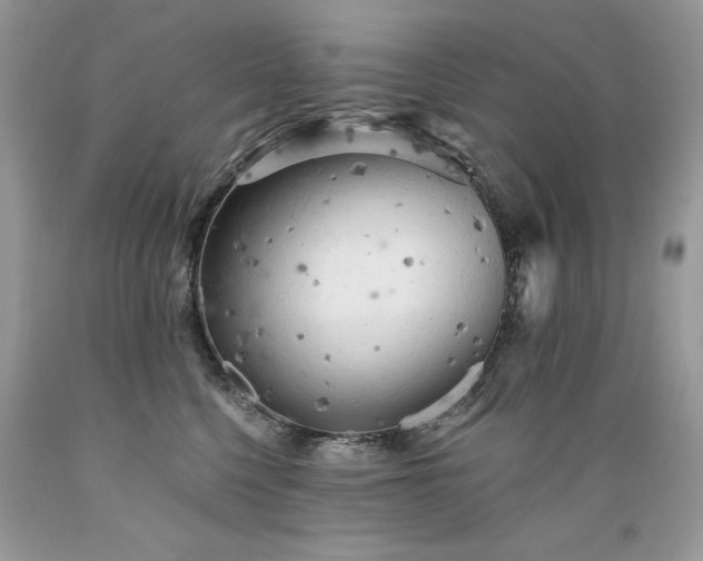 X0000089380568200706221257