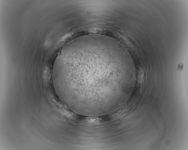 X0000089380569200706221257
