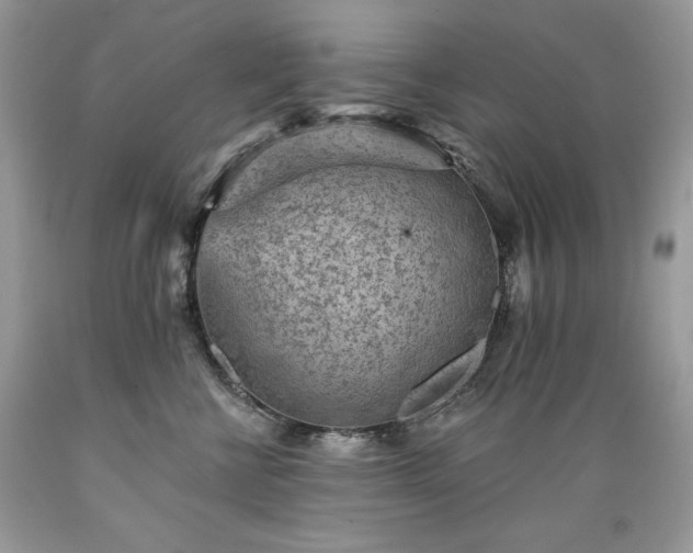 X0000089380570200706221257