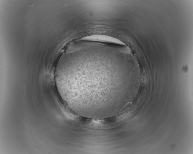 X0000089380573200706221257