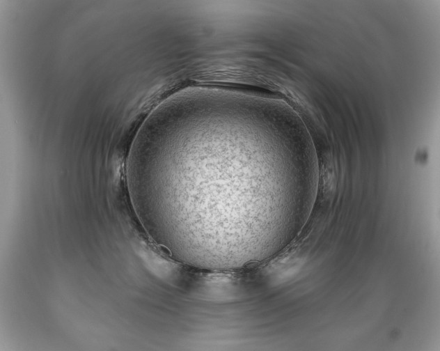 X0000089380574200706221257