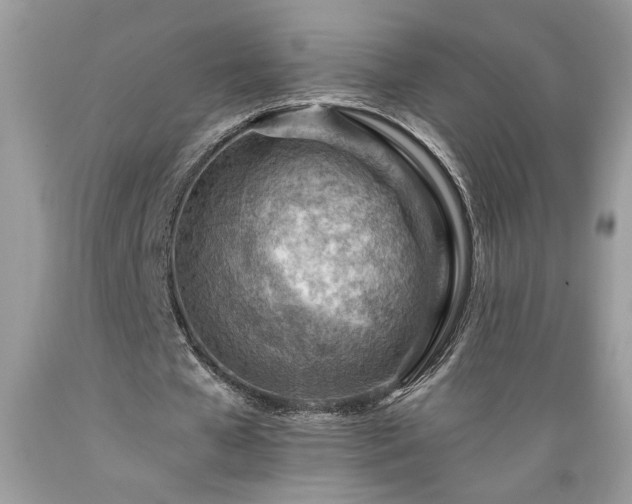 X0000089380577200706221256