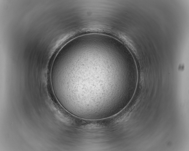 X0000089380578200706221256