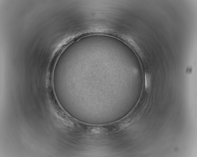 X0000089380579200706221256