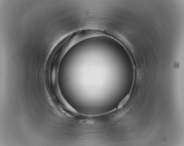 X0000089380580200706221256