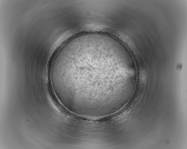 X0000089380582200706221256