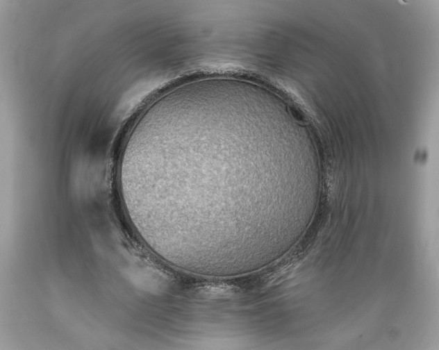 X0000089380583200706221256