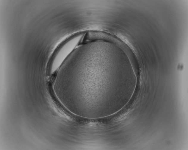 X0000089380584200706221256