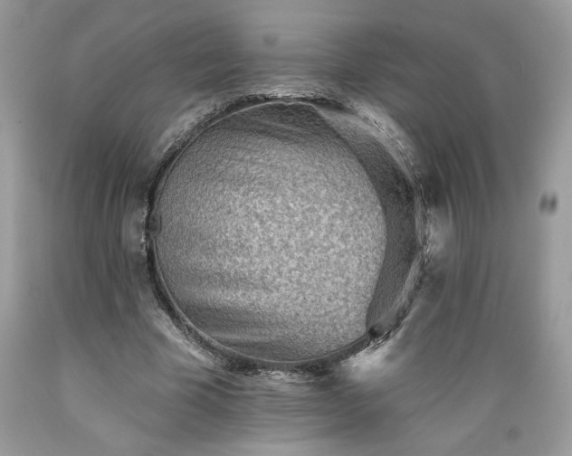 X0000089380585200706221256
