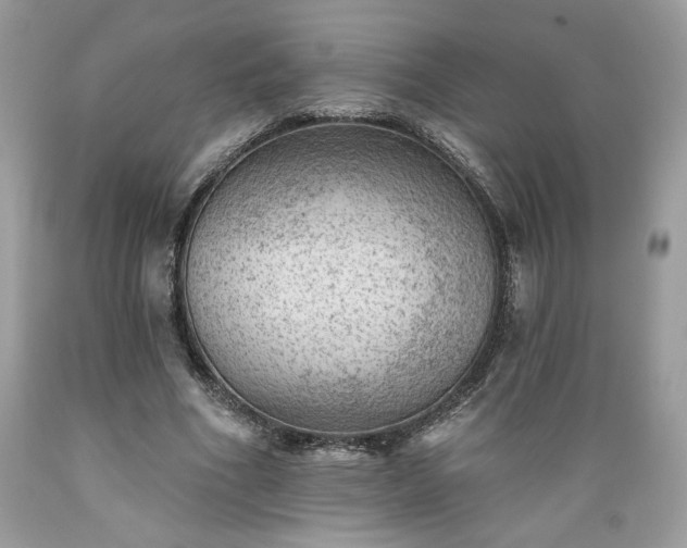 X0000089380586200706221256