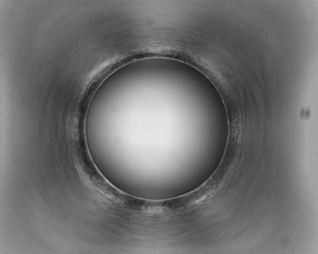 X0000089380587200706221256