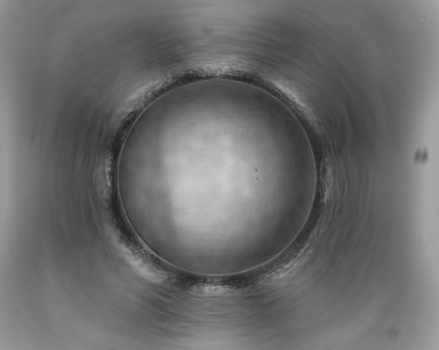 X0000089380590200706221256
