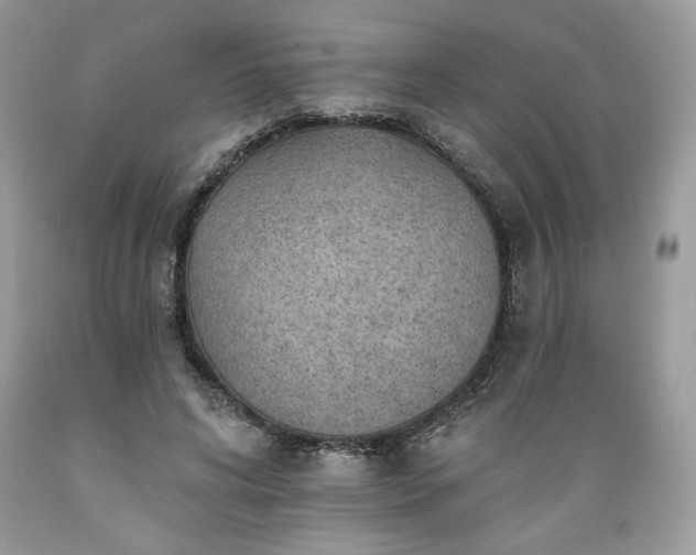 X0000089380592200706221256