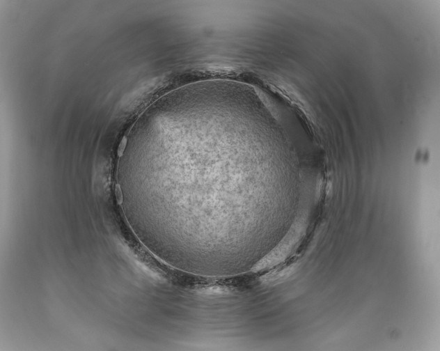 X0000089380593200706221256