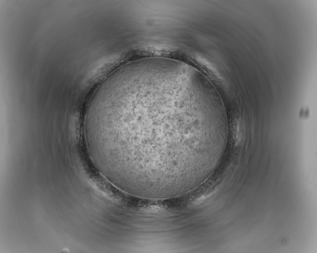 X0000089380594200706221256