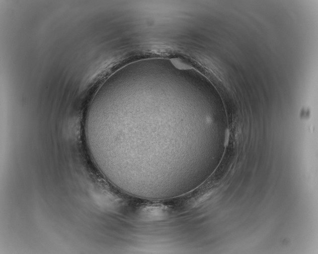 X0000089380595200706221256