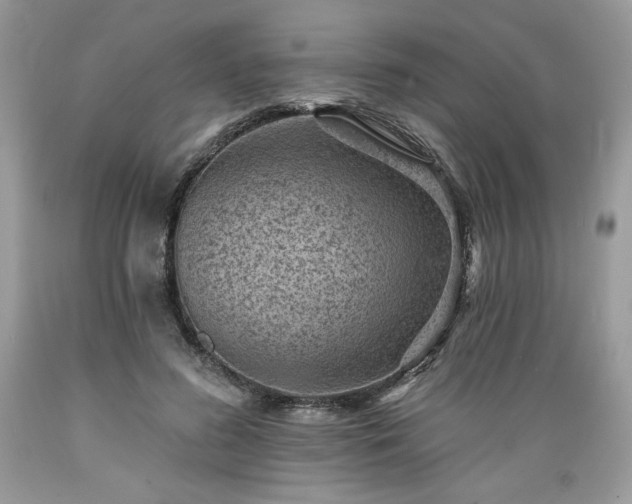 X0000089380596200706221256