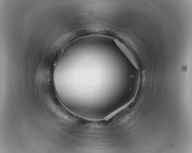 X0000089380597200706221256