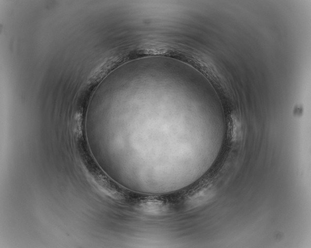 X0000089380598200706221256