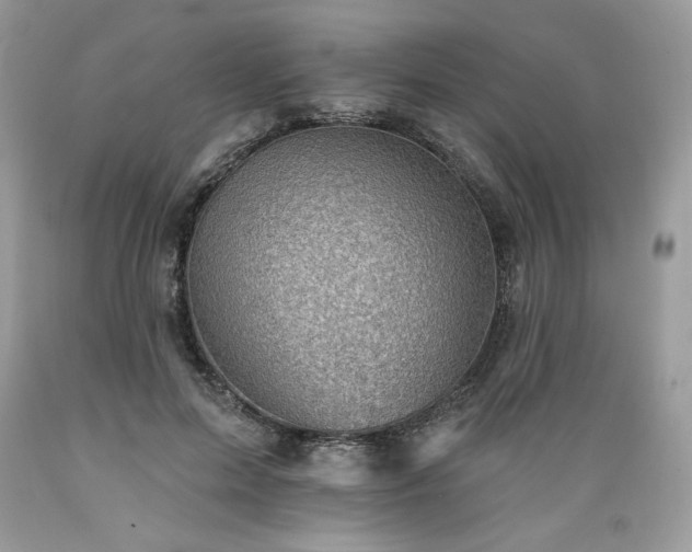 X0000089380599200706221256
