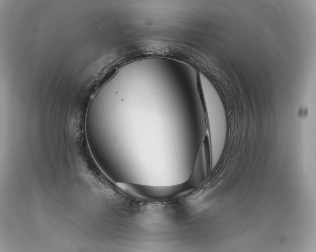 X0000089380600200706221256